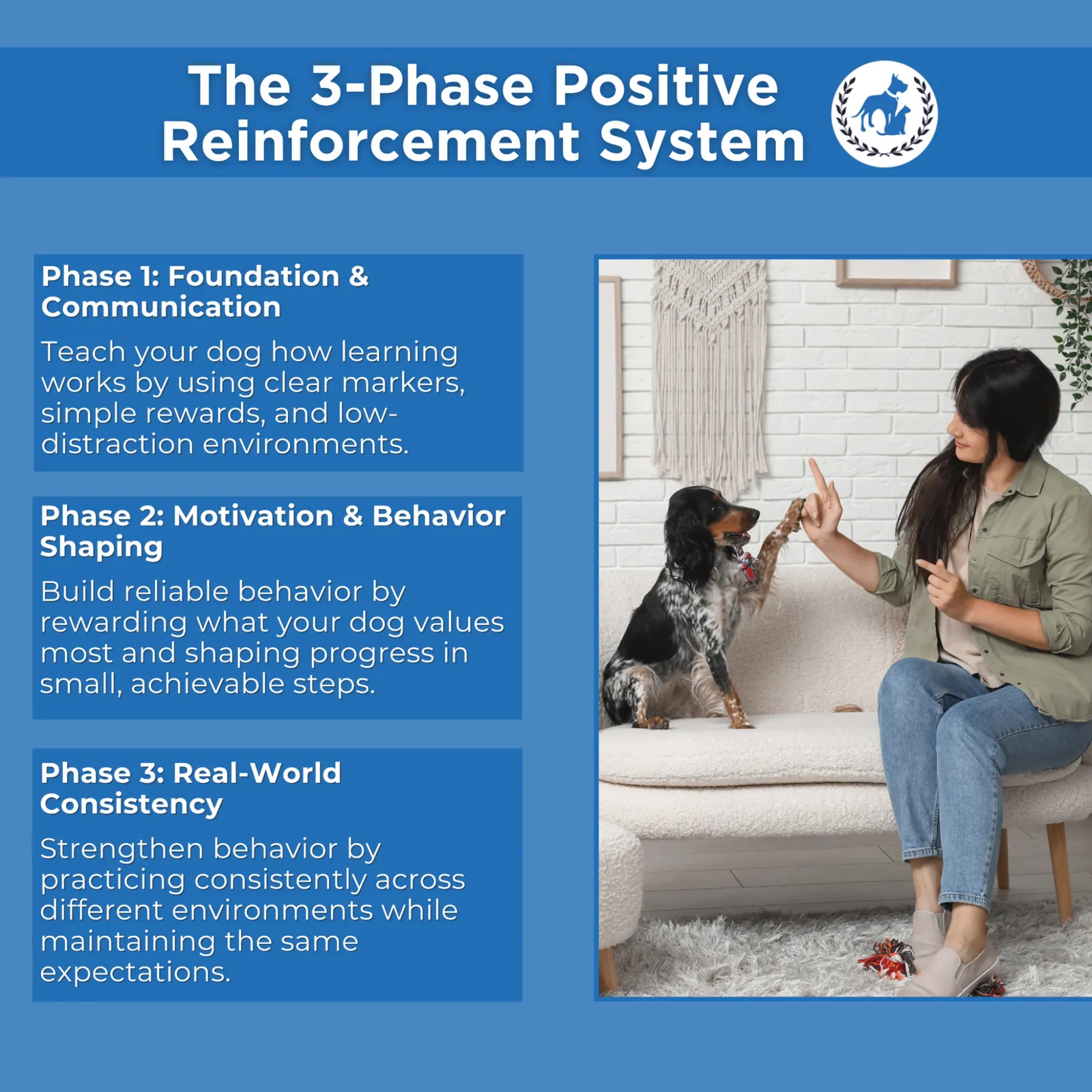 three phase positive reinforcement system
