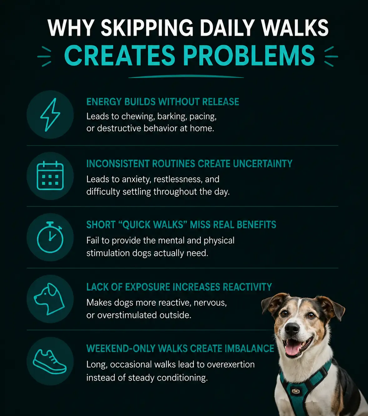 Infographic explaining how skipping daily dog walks can lead to excess energy, inconsistent routines, reduced stimulation, increased reactivity, and overexertion from weekend-only walks.