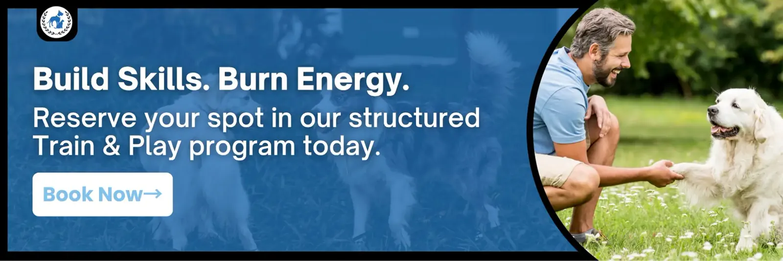 A call-to-action banner encouraging the reader to save a spot at Boston's Best Dog Walker's Train and Play school, with an image of a man shaking hands with his long-haired Labrador dog.