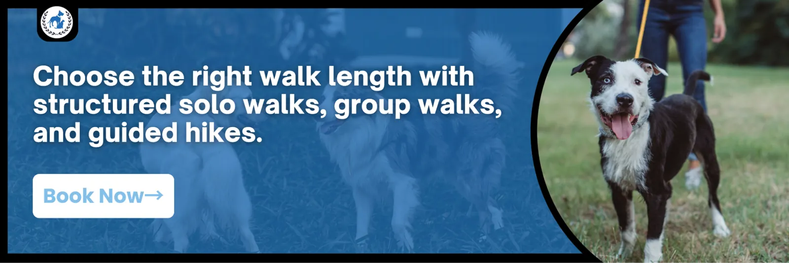 dog walking cost service