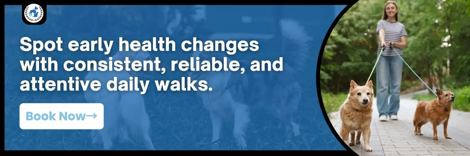 dog walking health