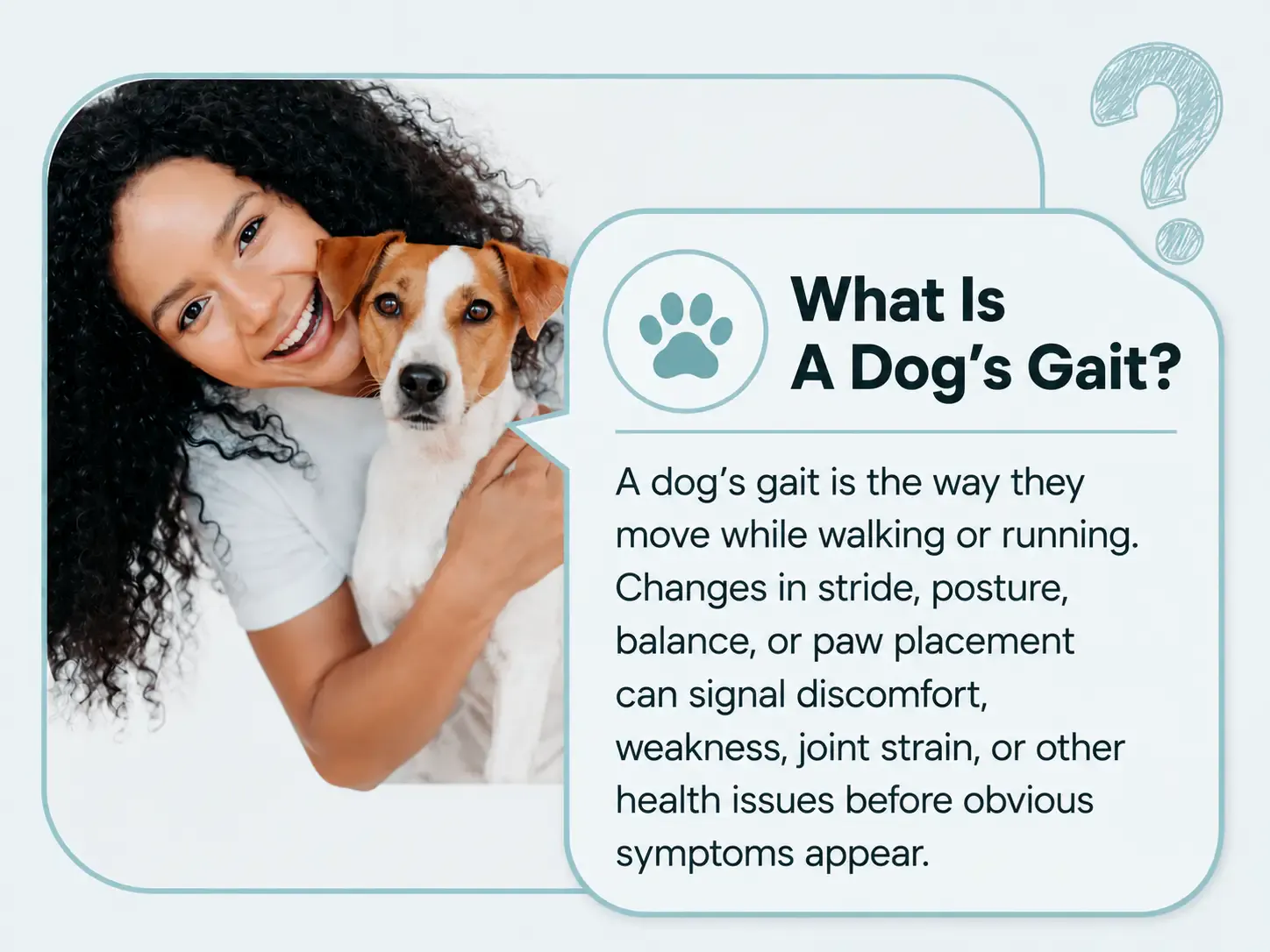 Infographic explaining a dog’s gait and how changes in stride, posture, balance, or paw placement may signal health issues.