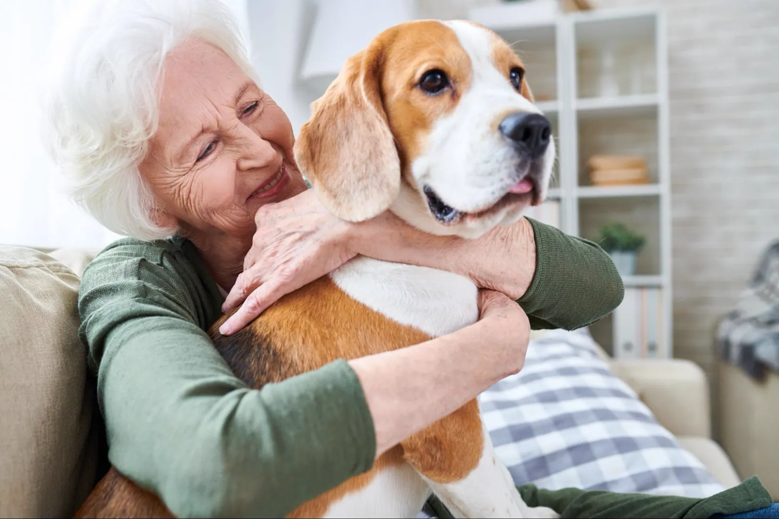 Senior woman smiling and hugging a beagle while sitting together on a couch at home.