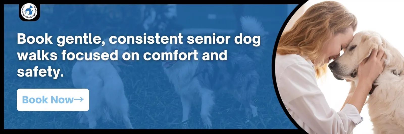 Banner promoting gentle, consistent senior dog walks focused on comfort and safety, with a woman affectionately holding an older dog.