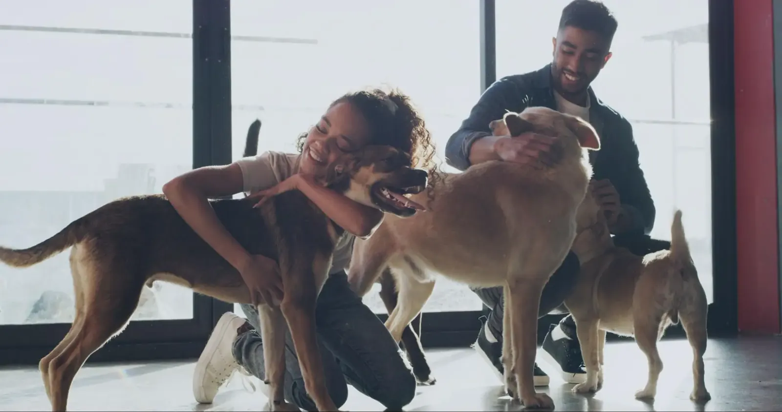 Two caregivers pet three dogs in a bright indoor space, with one hugging a German shepherd mix.