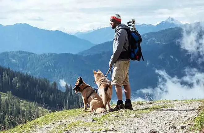 Hiker and two dogs looking out over a mountain view